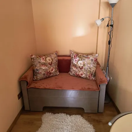 Adis Cluj-Napoca
